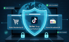 电商浏览器如何选择IP？店铺IP类型解析与