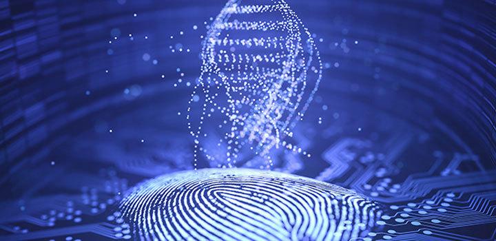 指纹浏览器好用吗