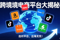 跨境电商平台大揭秘：选对平台，出海无