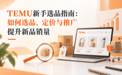 TEMU新手选品指南：如何选品、定价与推广